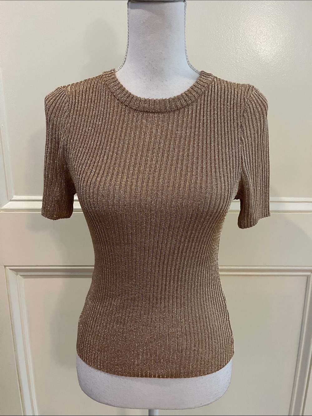 H&M Metallic Ribbed Short-Sleeve Knit Top in Light Brown